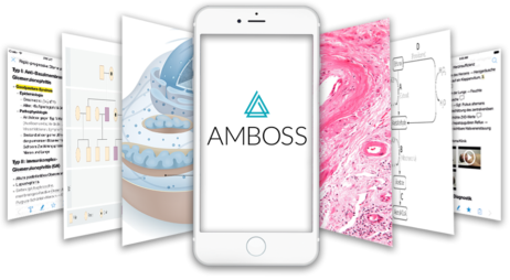 AMBOSS Vorklinik-Inhalte für Mediziner