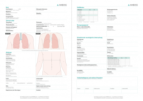 Untersuchungs- und Anamnesebogen als PDF | AMBOSS