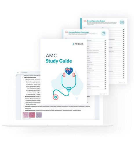 the AMC Study Plan (Australian Council) -